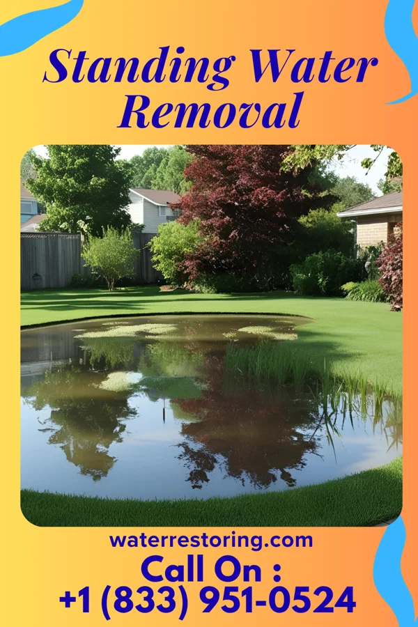 Standing Water Removal in Geddes, SD